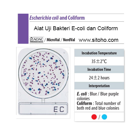 Test Kit E-Coli Coliform dan Salmonella | Microbiology Food and Water Test Kit