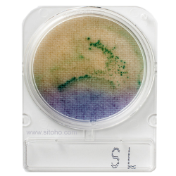 Test Kit E-Coli Coliform dan Salmonella | Microbiology Food and Water Test Kit