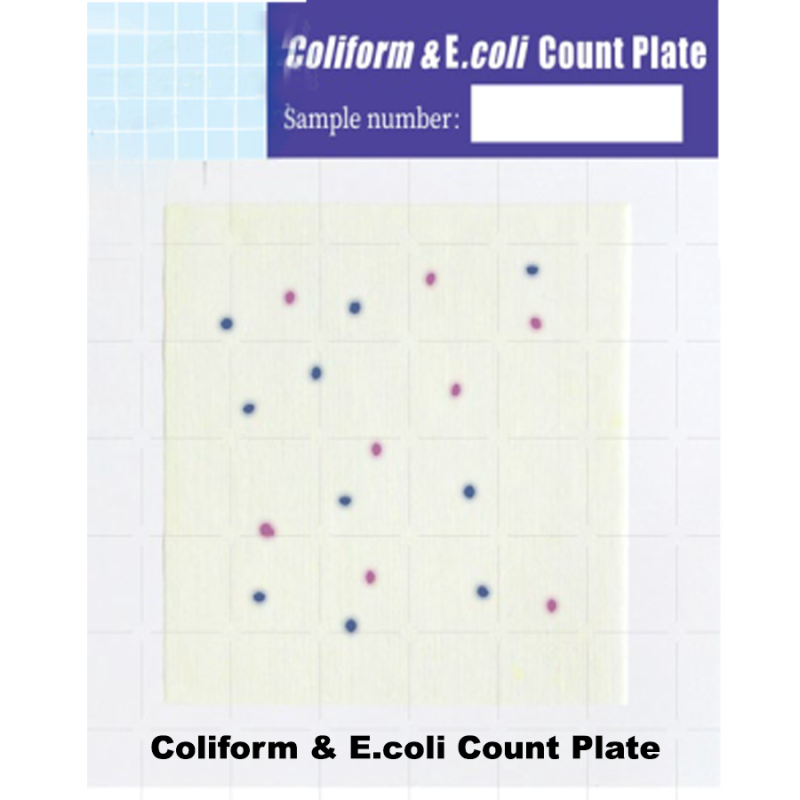 Test Kit E.coli dan Coliform | Alat Uji Pemeriksaan Ecoli dan Coliform pada Makanan