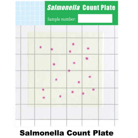 Test Kit Salmonella (Salmonella Count Plate) | Alat uji Bakteri Salmonella pada Makanan