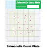 Test Kit Salmonella (Salmonella Count Plate) | Alat uji Bakteri Salmonella pada Makanan