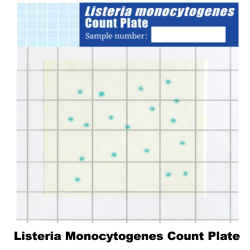 Test Kit Listeria Monocytogene | Listeria Monocytogene Count Plate