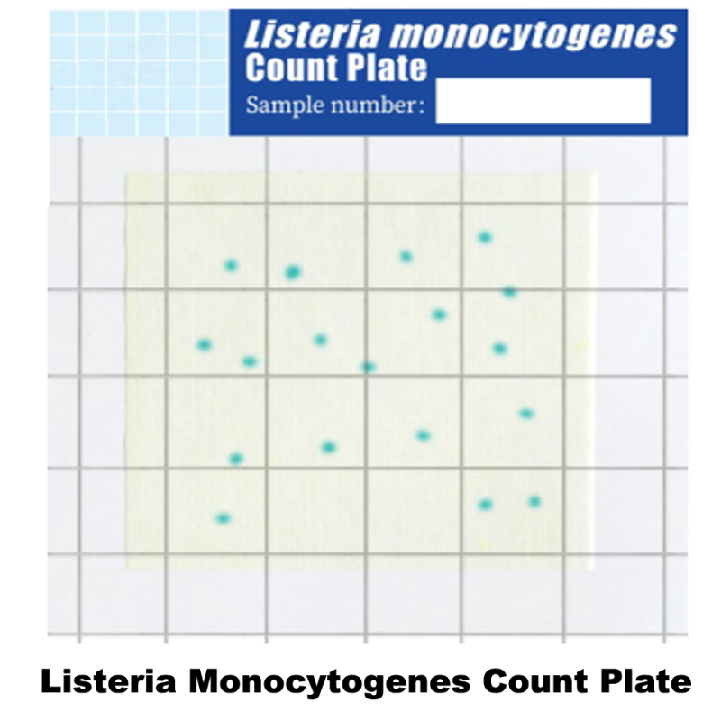 Test Kit Listeria Monocytogene | Listeria Monocytogene Count Plate