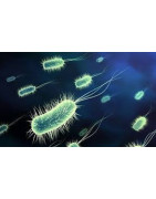 Alat Uji Bakteri | Microbiology Water Test Kit